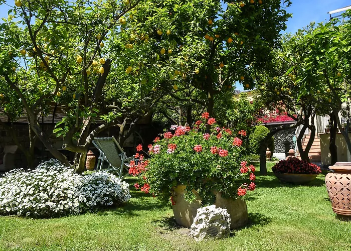 アンティケ ムラ 4*